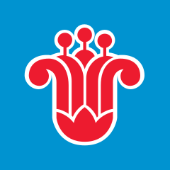 China Southern Airlines
