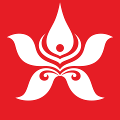 Hong Kong Airlines