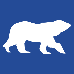 Polar Airlines