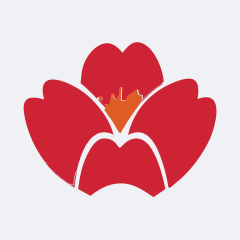 Qingdao Airlines