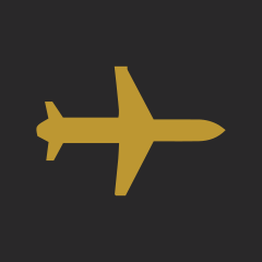 FlexFlight